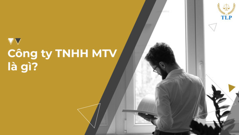 Công ty TNHH một thành viên là gì? Định nghĩa, cơ cấu, đặc điểm nổi bật
