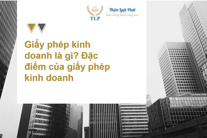 giấy phép kinh doanh là gì